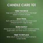 Balsam & Cedar Yankee Candle - 10 oz Elegance