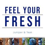 Glade Juniper & Teak Scented Candle Set