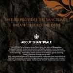 Shantivale Cinnamon Twig Herbal Incense Sticks