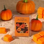 LETINE Pumpkin Fall Scented Wax Melts