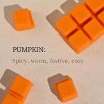 LETINE Pumpkin Fall Scented Wax Melts