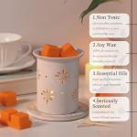 LETINE Pumpkin Fall Scented Wax Melts