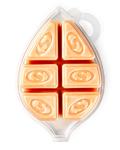Autumn Splendor Soy Wax Melts 3-Pack