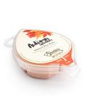 Autumn Splendor Soy Wax Melts 3-Pack