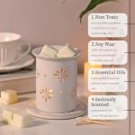 LETINE Vanilla Scented Soy Wax Melts - 4 Pack
