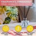 Baobab Forest Oil Diffuser with Reed Sticks