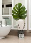 Baobab Forest Oil Diffuser with Reed Sticks