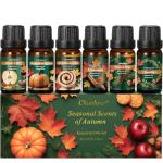 Fall Essential Oils Set - Cozy Autumn Scents