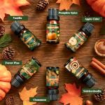 Fall Essential Oils Set - Cozy Autumn Scents