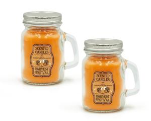 Pumpkin Spice & Apple Cinnamon Scented Candles
