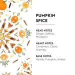 Maison Berger Pumpkin Spice Home Fragrance Refill 1L