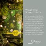 Simplicity Scents Sachets Winter Pine (Fall and Winter) 3 Pack - Long Lasting, ECO-Friendly Home Fragrance Air Freshener - Scents for Rooms - Made in The USA