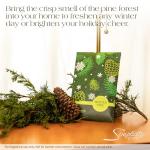 Simplicity Scents Sachets Winter Pine (Fall and Winter) 3 Pack - Long Lasting, ECO-Friendly Home Fragrance Air Freshener - Scents for Rooms - Made in The USA