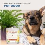 Lilac Garden & Rose Pet Odor Candles, 2-Pack