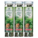 Scentsicles White Winter Fir Scented Christmas Tree Ornaments - 3 Bottles (18 Sticks Total)