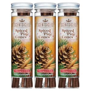 Scentsicles Spiced Pine Cones Scented Christmas Ornaments with Hooks - 3 Bottles (18 Sticks Total)