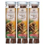 Scentsicles Spiced Pine Cones Scented Christmas Ornaments with Hooks - 3 Bottles (18 Sticks Total)