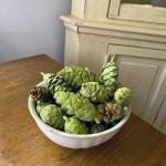 Hillhouse Naturals Potpourri Green Pine Cones - Potpourri Bowl Filler Vase Christmas Scent Potpourri Pine Scented Dried Flower Fragrance Farmhouse Decor - 8oz (Cedar & Pine)