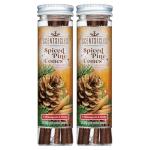 Scentsicles Spiced Pine Cones Scented Christmas Ornaments with Hooks - 2 Bottles (12 Sticks Total)