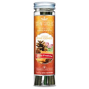 Scentsicles - 01647-012 Scented Christmas Ornaments for Christmas Tree, All Natural Holiday Air Freshener (Spiced Pine Cones Holiday Fragrance) Includes 6 Ornaments & Hooks