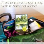 Simplicity Scents Sachets Pine Lands Scented (Everyday) - 6 Pack - Long Lasting, ECO-Friendly Home Fragrance - Air Freshener - Made in The USA