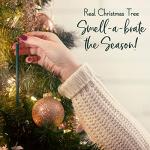 Scentsicles - 01647-012 Scented Christmas Ornaments for Christmas Tree, All Natural Holiday Air Freshener (Spiced Pine Cones Holiday Fragrance) Includes 6 Ornaments & Hooks