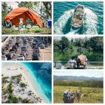 Portable Toilet Powder. Outdoor Toilet. Neutralize Odor/Fast-Acting Gel. Emergency Toilet Chemicals. Porta Potty Chemicals Degradable. Go with Porta Potty for Camping (2 Pack)