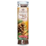 Scentsicles Spiced Pine Cones Scented Christmas Ornaments with Hooks - 1 Bottle (6 Sticks Total)