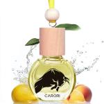 Parisian Nights Car Air Freshener Diffuser