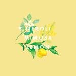 NEOM- Happiness Scented Candle, Travel Size | Essential Oil Aromatherapy Candle | Neroli, Mimosa & Lemon | Scent to Make You Happy