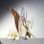 Donna Karan Cashmere Mist Luxury Eau de Toilette Set For Women - Mini Spray 0.5 Fl. Oz. & Purse Spray, Travel Spray 0.5 Fl. Oz.