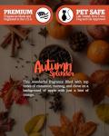 Autumn Splendor Soy Wax Melts - Highly Scented