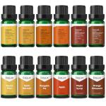 ESSLUX Autumn Scented Oils Gift Set