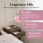 Elodie Essentials Scented Drawer and Shelf Liners - Vintage Charm - Six (6) Large 14 x 19½ Inch Sheets - Non-Adhesive Paper Sheets for Closet Shelves and Dresser Drawers - (Vintage Rose)