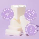 Pet Friendly Wax Melts | Pet Safe Wax Melts | All Natural Wax Melts | Non-Toxic Wax Melts | Pet Odor Eliminator | Pure Soy Wax Melts | Dog & Cat Safe Wax Melts | Veterinarian Approved (Alpine Ridge)