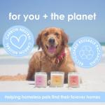 Pet Friendly Wax Melts | Pet Safe Wax Melts | All Natural Wax Melts | Non-Toxic Wax Melts | Pet Odor Eliminator | Pure Soy Wax Melts | Dog & Cat Safe Wax Melts | Veterinarian Approved (Alpine Ridge)