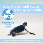 Pet Friendly Wax Melts | Pet Safe Wax Melts | All Natural Wax Melts | Non-Toxic Wax Melts | Pet Odor Eliminator | Pure Soy Wax Melts | Dog & Cat Safe Wax Melts | Veterinarian Approved (Alpine Ridge)