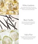 Victoria's Secret Tease Fine Fragrance 8.4oz Mist