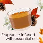 Glade Cashmere Woods 3-Wick Fragrance Candles