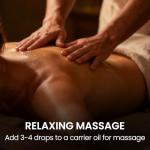 EVOKE OCCU Pine Needle Essential Oil 4 Fl Oz, Pure Pine Needle Oil for Home Diffuser Fragrance DIY Candle Soap Making- 118ml