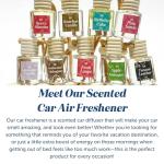 CE CRAFT Teakwood + Mahogany Air Freshener Bottle - Reusable Car Air Deodorizer Diffuser for Essential Oils & Scents, Lasts 30-90+ Days