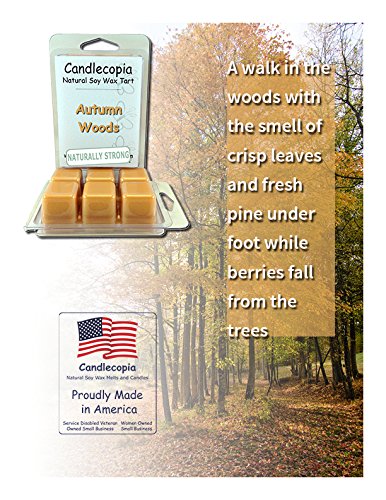 Autumn Woods Vegan Wax Melts - 12 Cubes