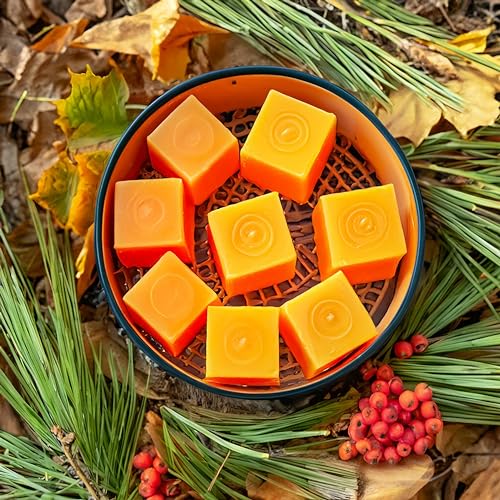 Autumn Woods Vegan Wax Melts - 12 Cubes