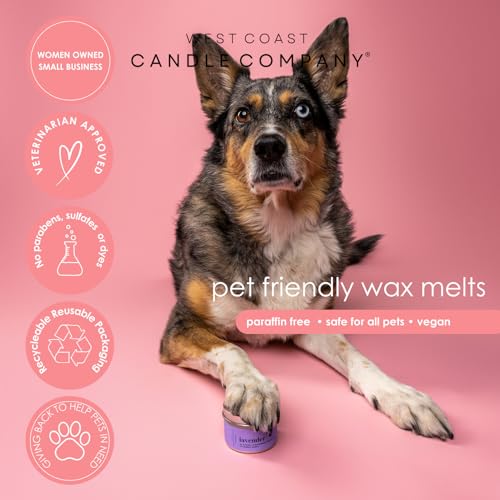 Pet Friendly Wax Melts | Pet Safe Wax Melts | All Natural Wax Melts | Non-Toxic Wax Melts | Pet Odor Eliminator | Pure Soy Wax Melts | Dog & Cat Safe Wax Melts | Veterinarian Approved (Alpine Ridge)
