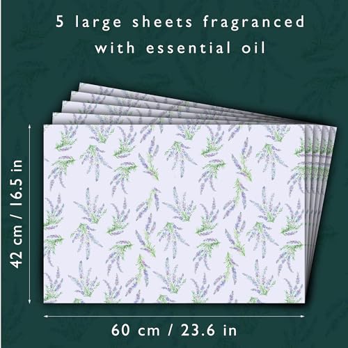 The Master Herbalist LAVENDER Scented Drawer Liners in a floral design with LAVENDER Essential Oils (FOLDED) | Pack of 5 Sheets | Contains Essential Oils | MADE in The UK.