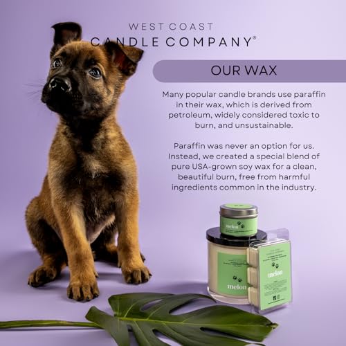 Pet Friendly Wax Melts | Pet Safe Wax Melts | All Natural Wax Melts | Non-Toxic Wax Melts | Pet Odor Eliminator | Pure Soy Wax Melts | Dog & Cat Safe Wax Melts | Veterinarian Approved (Alpine Ridge)
