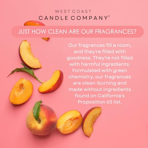 Pet Friendly Wax Melts | Pet Safe Wax Melts | All Natural Wax Melts | Non-Toxic Wax Melts | Pet Odor Eliminator | Pure Soy Wax Melts | Dog & Cat Safe Wax Melts | Veterinarian Approved (Alpine Ridge)