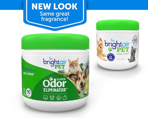 Bright Air Solid Pet Odor Eliminator, Cool Citrus Scent, 14 Oz Each, 6 Pack