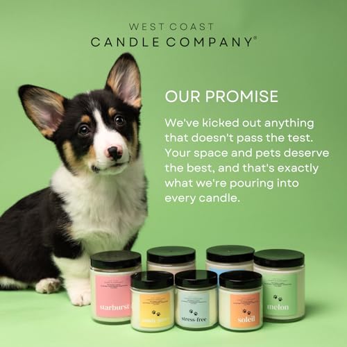 Pet Friendly Wax Melts | Pet Safe Wax Melts | All Natural Wax Melts | Non-Toxic Wax Melts | Pet Odor Eliminator | Pure Soy Wax Melts | Dog & Cat Safe Wax Melts | Veterinarian Approved (Alpine Ridge)