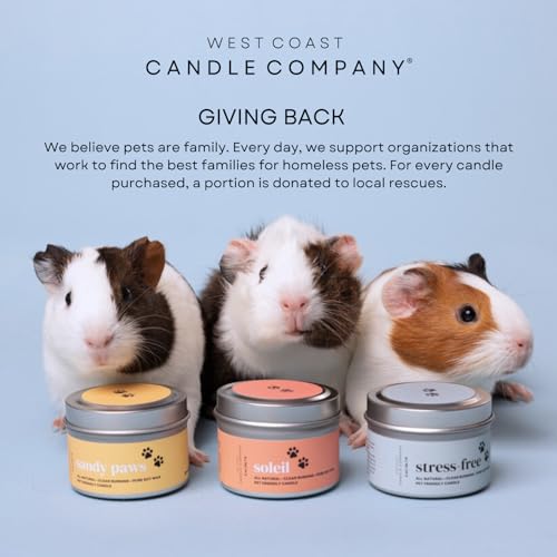 Pet Friendly Wax Melts | Pet Safe Wax Melts | All Natural Wax Melts | Non-Toxic Wax Melts | Pet Odor Eliminator | Pure Soy Wax Melts | Dog & Cat Safe Wax Melts | Veterinarian Approved (Alpine Ridge)